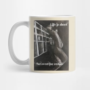 Life is Short....But Sweet for certain Mug